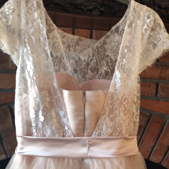 Blush gown - Picture 5 of 8